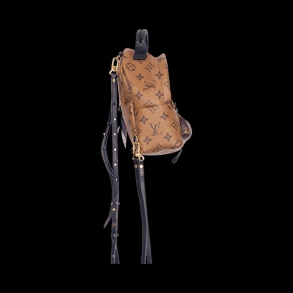 LOUIS VUITTON PALM SPRINGS BACKPACK MINI - Picture 4 of 7